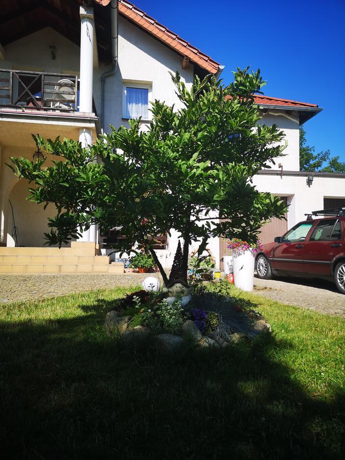 Apartamento Casa Del Fasa Polanica-Zdrój Exterior foto